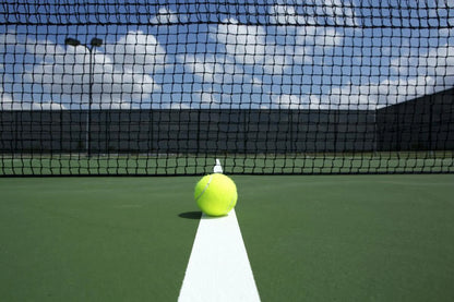 Titanium All Court Tennis Balls, 3 Ball Can